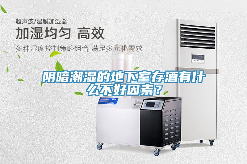 陰暗潮濕的地下室存酒有什么不好因素？