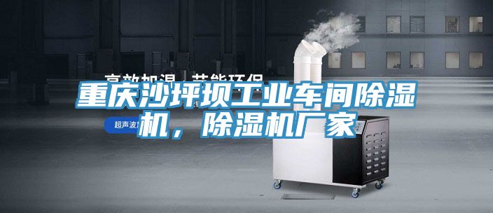 重慶沙坪壩工業(yè)車(chē)間除濕機(jī)，除濕機(jī)廠家