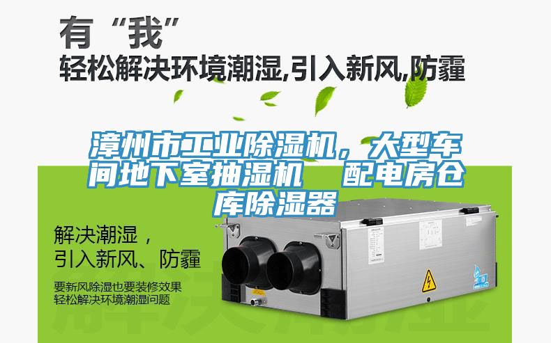 漳州市工業(yè)除濕機(jī)，大型車(chē)間地下室抽濕機(jī)  配電房倉(cāng)庫(kù)除濕器