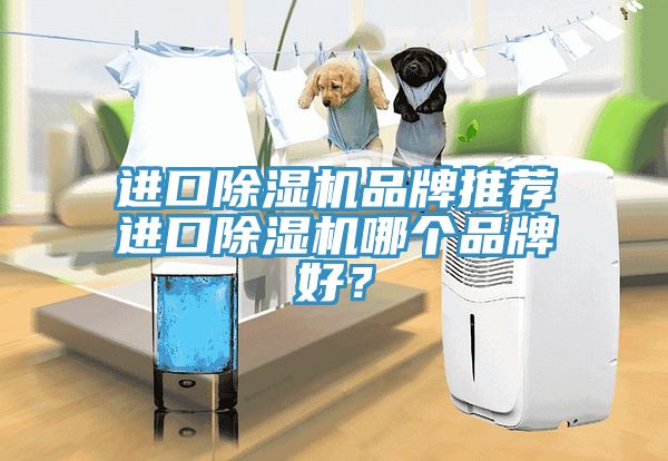 進(jìn)口除濕機(jī)品牌推薦進(jìn)口除濕機(jī)哪個(gè)品牌好？