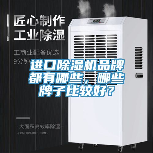 進(jìn)口除濕機(jī)品牌都有哪些，哪些牌子比較好？