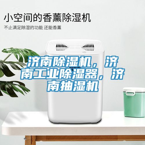 濟南除濕機，濟南工業(yè)除濕器，濟南抽濕機