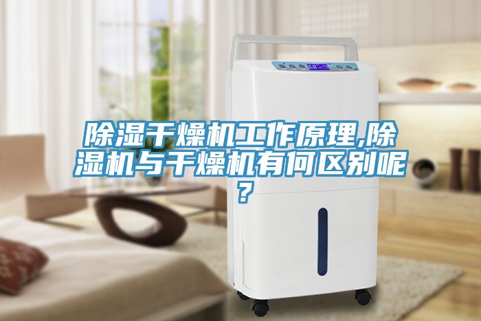 除濕干燥機工作原理,除濕機與干燥機有何區(qū)別呢？