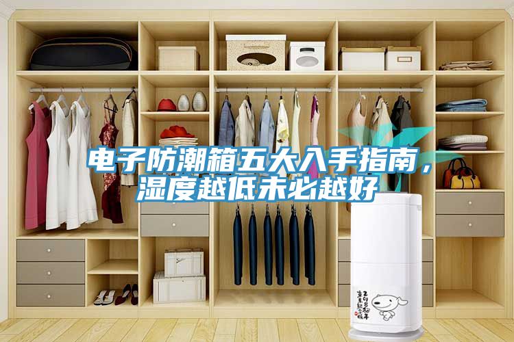 電子防潮箱五大入手指南，濕度越低未必越好