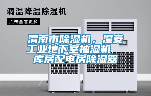 渭南市除濕機(jī)，濕菱工業(yè)地下室抽濕機(jī)  庫(kù)房配電房除濕器