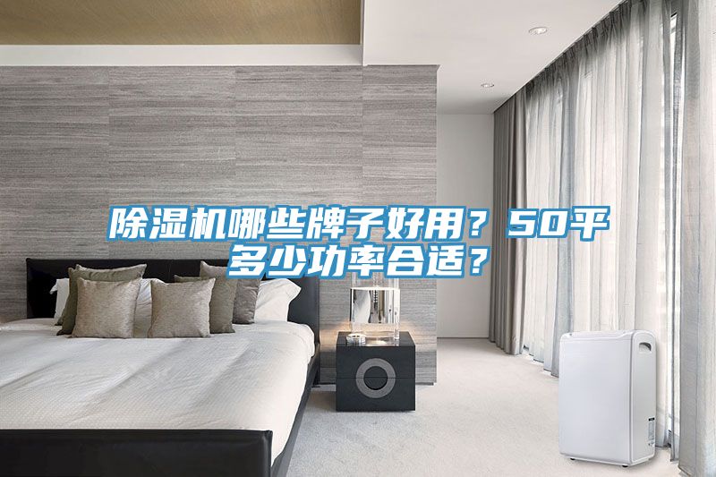 除濕機哪些牌子好用？50平多少功率合適？