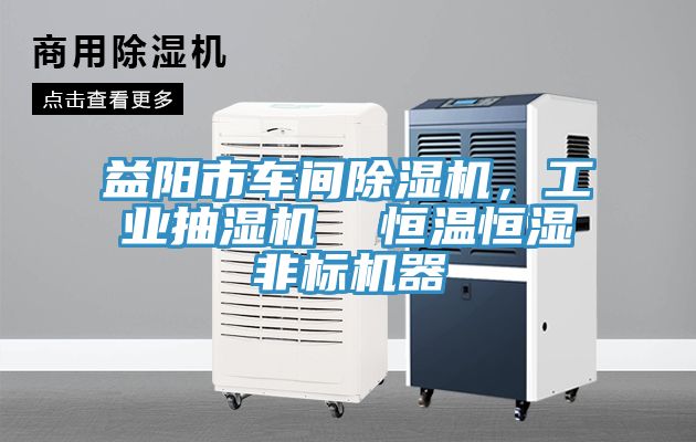 益陽(yáng)市車間除濕機(jī)，工業(yè)抽濕機(jī)  恒溫恒濕非標(biāo)機(jī)器