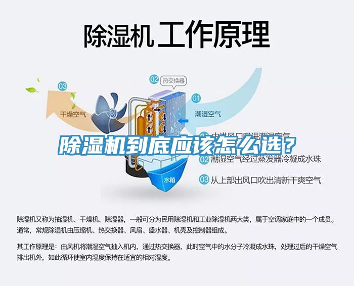 除濕機到底應該怎么選？
