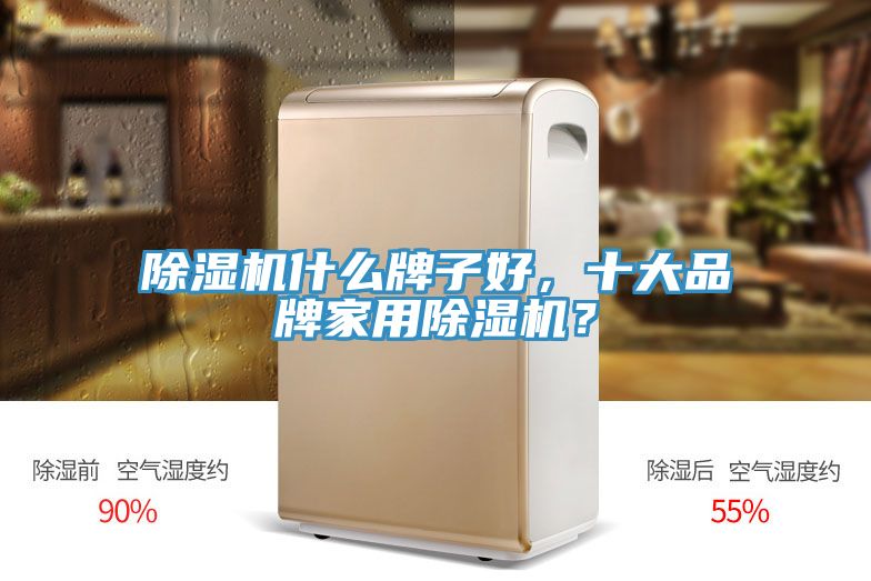 除濕機什么牌子好，十大品牌家用除濕機？