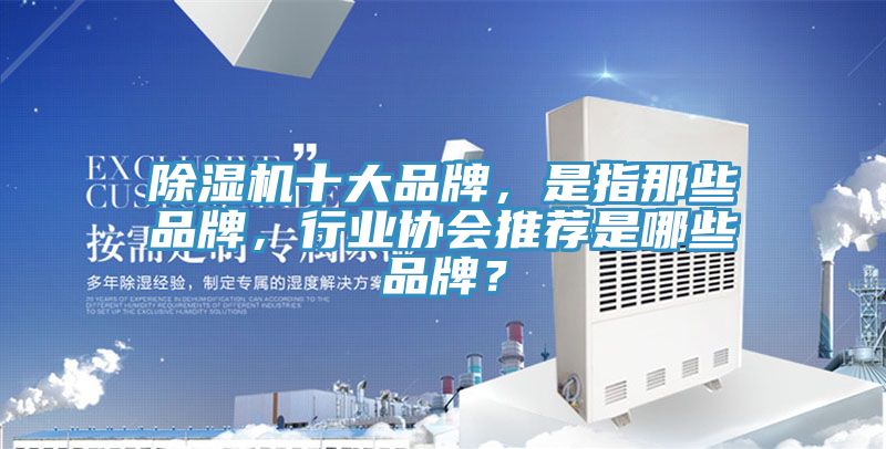除濕機(jī)十大品牌，是指那些品牌，行業(yè)協(xié)會推薦是哪些品牌？