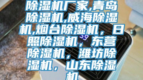 除濕機廠家,青島除濕機,威海除濕機,煙臺除濕機，日照除濕機，東營除濕機，濰坊除濕機，山東除濕機