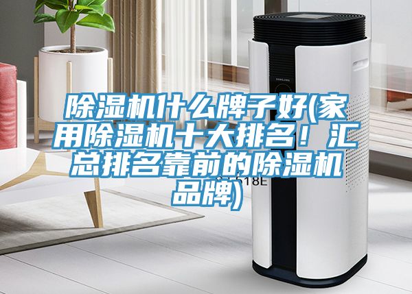 除濕機什么牌子好(家用除濕機十大排名！匯總排名靠前的除濕機品牌)
