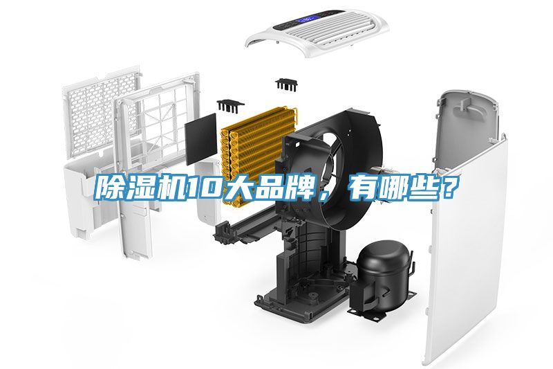 除濕機10大品牌，有哪些？