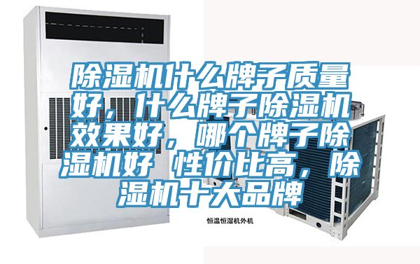 除濕機(jī)什么牌子質(zhì)量好，什么牌子除濕機(jī)效果好，哪個(gè)牌子除濕機(jī)好 性價(jià)比高，除濕機(jī)十大品牌