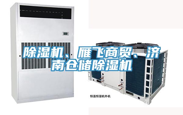除濕機(jī)、雁飛商貿(mào)、濟(jì)南倉儲除濕機(jī)