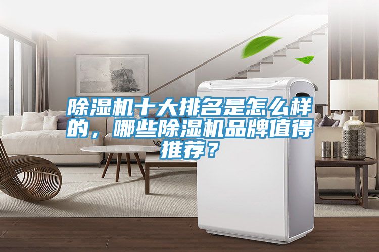 除濕機(jī)十大排名是怎么樣的，哪些除濕機(jī)品牌值得推薦？