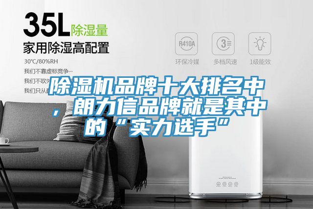 除濕機品牌十大排名中，朗力信品牌就是其中的“實力選手”