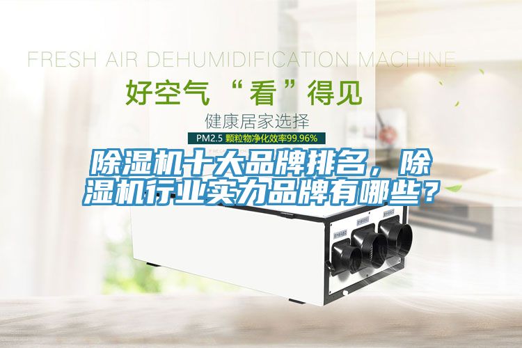 除濕機(jī)十大品牌排名，除濕機(jī)行業(yè)實(shí)力品牌有哪些？
