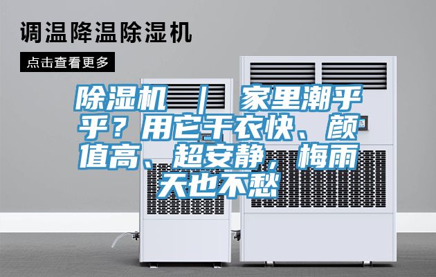 除濕機(jī) ｜ 家里潮乎乎？用它干衣快、顏值高、超安靜，梅雨天也不愁