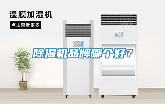 除濕機品牌哪個好？