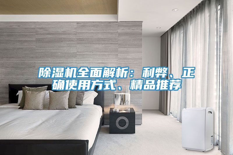 除濕機(jī)全面解析：利弊、正確使用方式、精品推薦