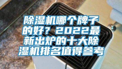 除濕機哪個牌子的好？2022最新出爐的十大除濕機排名值得參考