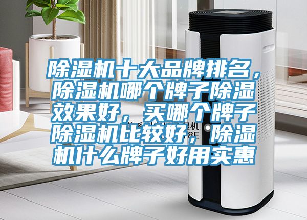 除濕機(jī)十大品牌排名，除濕機(jī)哪個(gè)牌子除濕效果好，買哪個(gè)牌子除濕機(jī)比較好，除濕機(jī)什么牌子好用實(shí)惠
