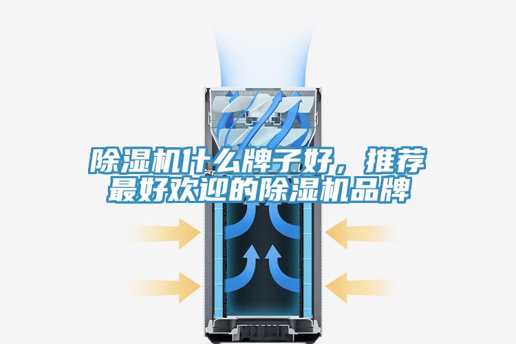 除濕機什么牌子好，推薦最好歡迎的除濕機品牌