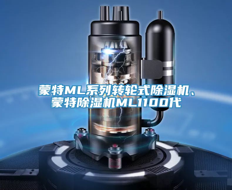 蒙特ML系列轉(zhuǎn)輪式除濕機(jī)、蒙特除濕機(jī)ML1100代