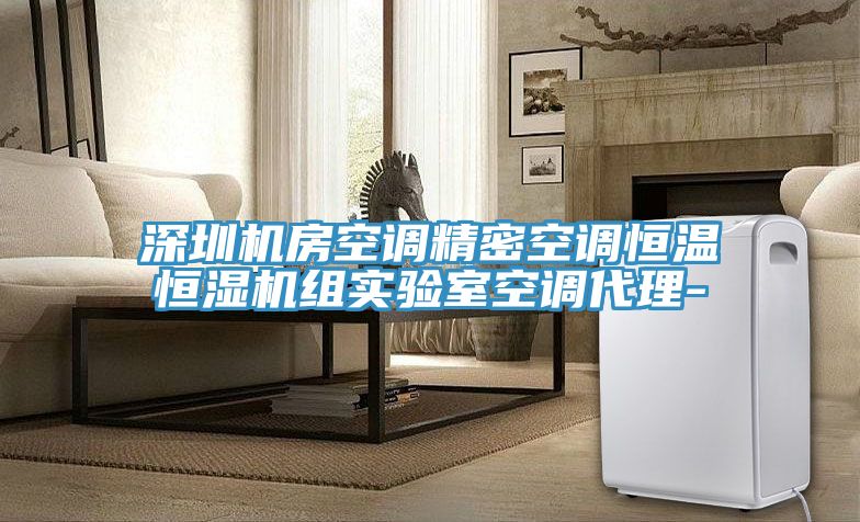 深圳機(jī)房空調(diào)精密空調(diào)恒溫恒濕機(jī)組實(shí)驗室空調(diào)代理-