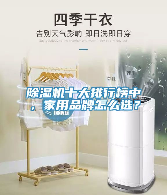除濕機十大排行榜中，家用品牌怎么選？