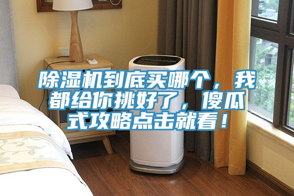 除濕機到底買哪個，我都給你挑好了，傻瓜式攻略點擊就看！