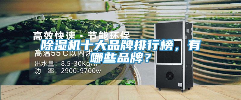 除濕機(jī)十大品牌排行榜，有哪些品牌？