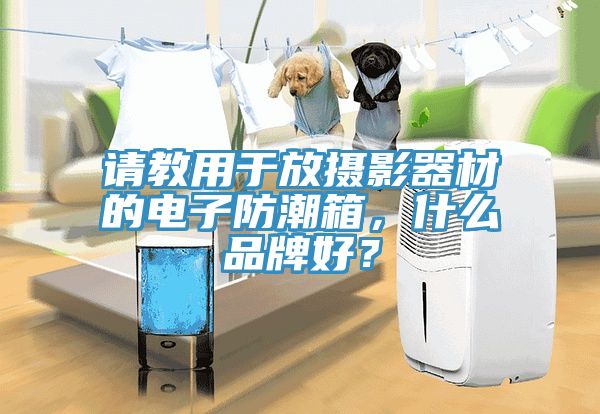 請(qǐng)教用于放攝影器材的電子防潮箱，什么品牌好？