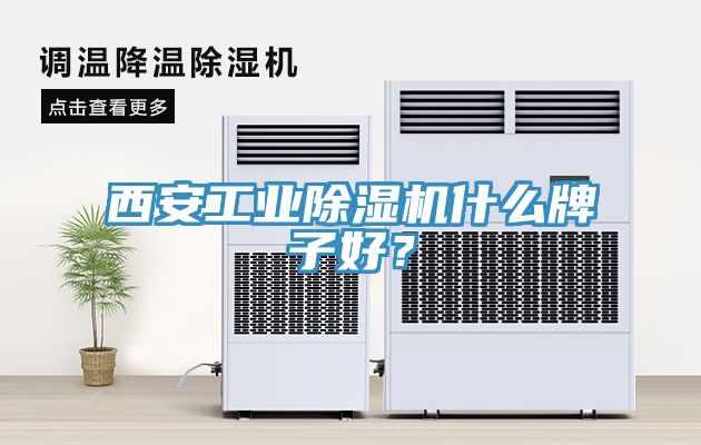 西安工業(yè)除濕機(jī)什么牌子好？