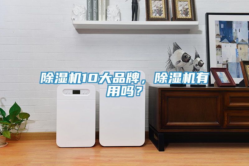 除濕機(jī)10大品牌，除濕機(jī)有用嗎？