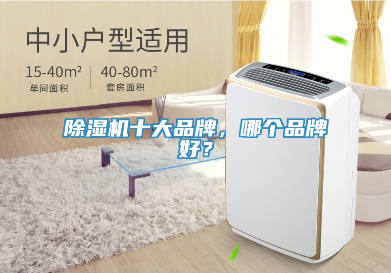 除濕機十大品牌，哪個品牌好？