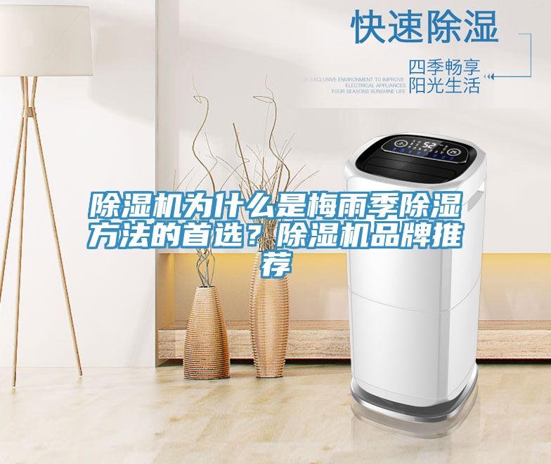 除濕機(jī)為什么是梅雨季除濕方法的首選？除濕機(jī)品牌推薦