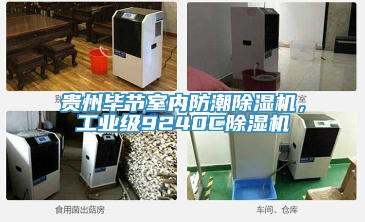 貴州畢節(jié)室內(nèi)防潮除濕機，工業(yè)級9240C除濕機