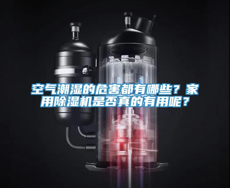 空氣潮濕的危害都有哪些？家用除濕機(jī)是否真的有用呢？
