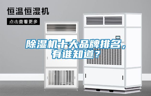 除濕機(jī)十大品牌排名，有誰(shuí)知道？