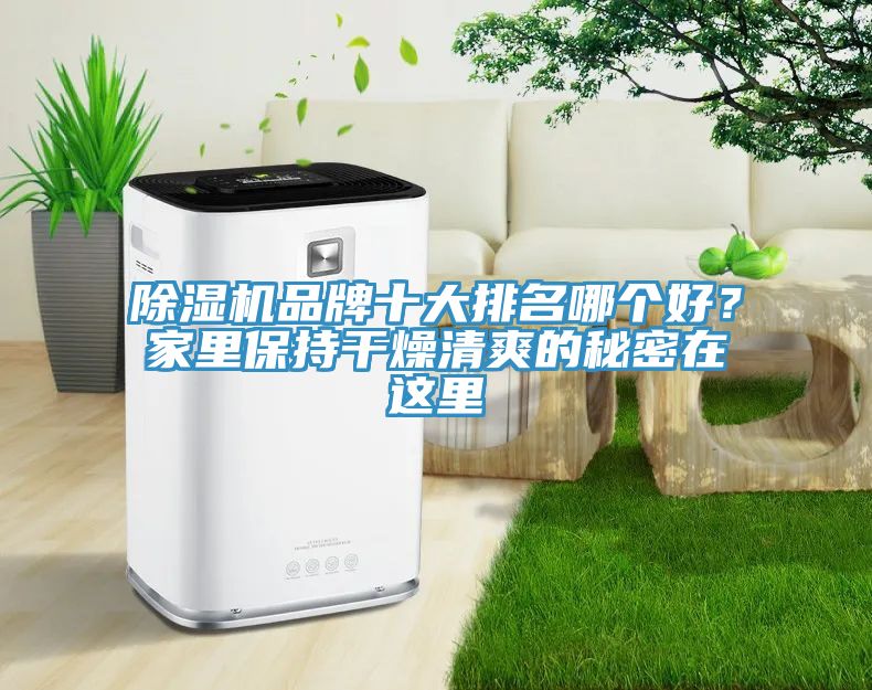 除濕機品牌十大排名哪個好？家里保持干燥清爽的秘密在這里