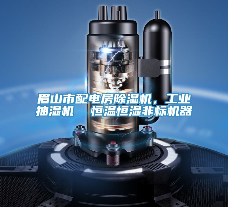 眉山市配電房除濕機，工業(yè)抽濕機  恒溫恒濕非標(biāo)機器
