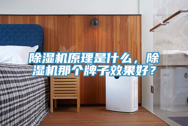 除濕機(jī)原理是什么，除濕機(jī)那個(gè)牌子效果好？