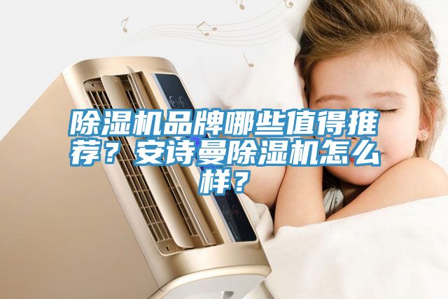 除濕機品牌哪些值得推薦？安詩曼除濕機怎么樣？