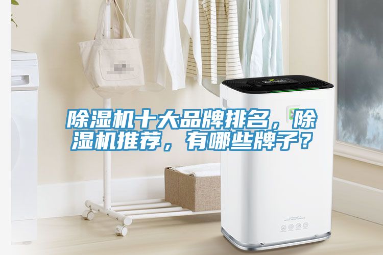 除濕機(jī)十大品牌排名，除濕機(jī)推薦，有哪些牌子？