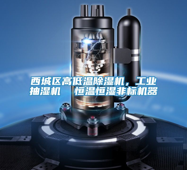 西城區(qū)高低溫除濕機(jī)，工業(yè)抽濕機(jī)  恒溫恒濕非標(biāo)機(jī)器