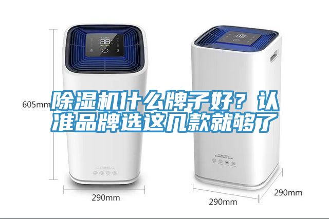 除濕機什么牌子好？認準品牌選這幾款就夠了