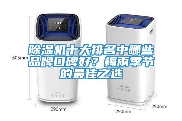 除濕機(jī)十大排名中哪些品牌口碑好？梅雨季節(jié)的最佳之選