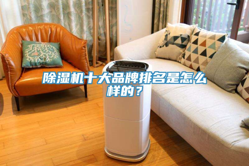 除濕機(jī)十大品牌排名是怎么樣的？